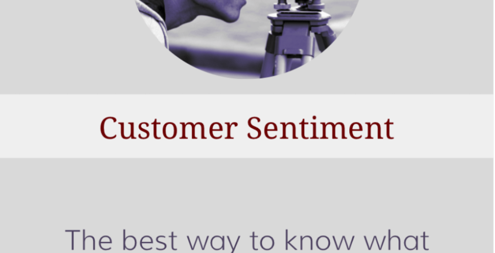 Cusomer-Sentiment-i