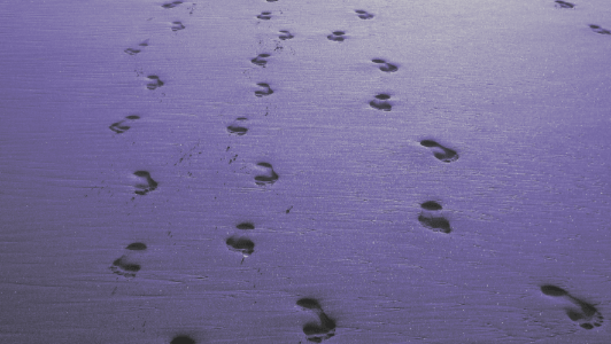 Footprints-Leads-Coming-img-532x300-i