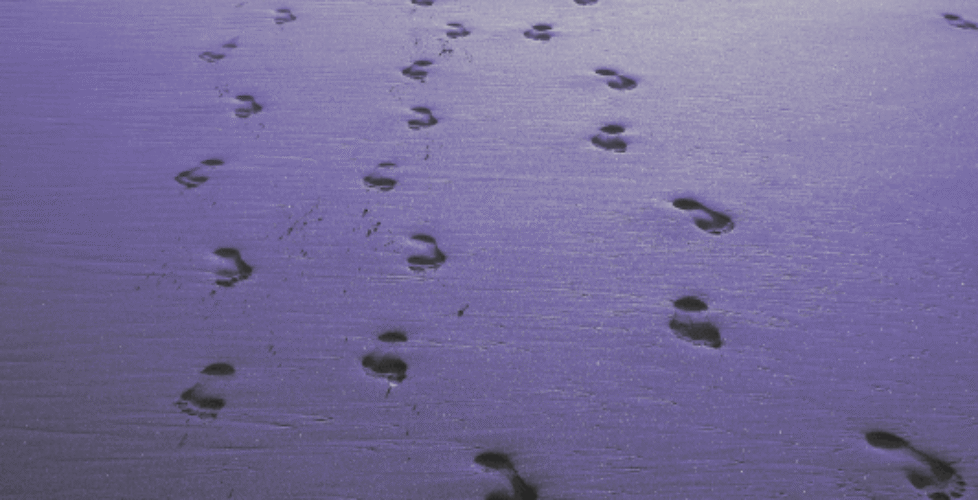 Footprints-Leads-Coming-img-532x300-i